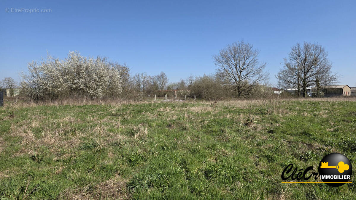 Terrain à SAINT-GERMAIN-DU-BOIS