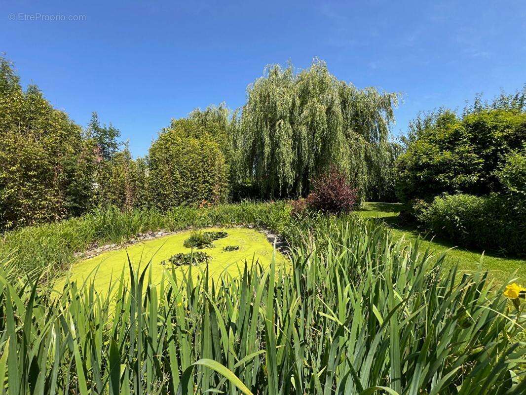 Maison à GOURNAY-EN-BRAY