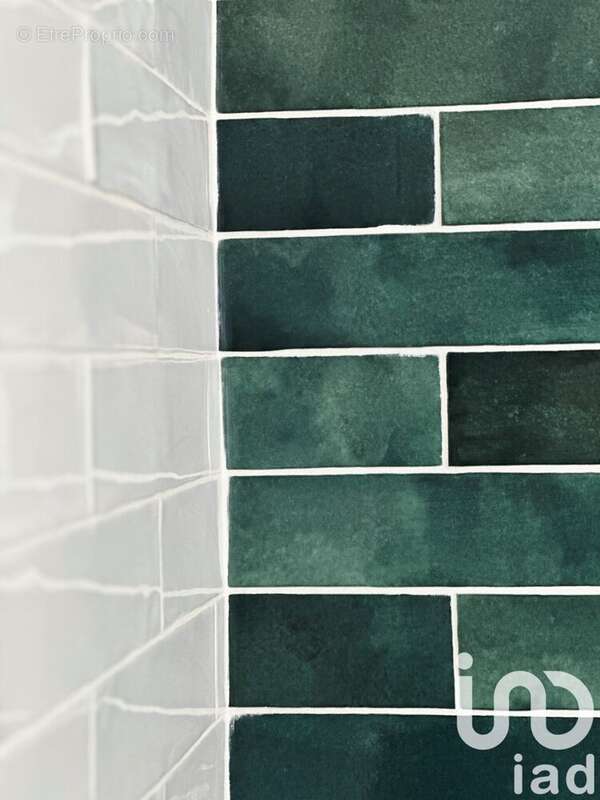 Photo 9 - Appartement à SAINT-ETIENNE-DE-SAINT-GEOIRS