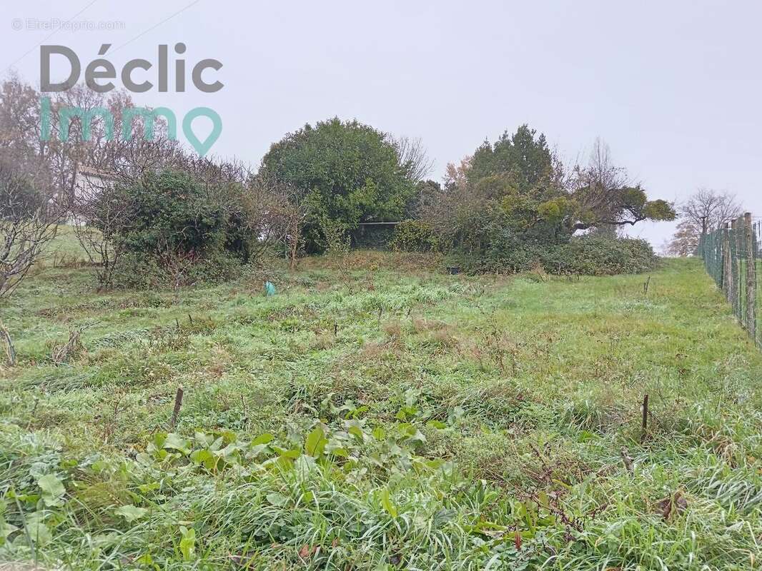 Terrain à LA CHAPELLE-DES-POTS