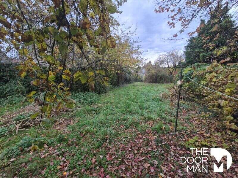 Terrain à LES ESSARTS-LE-ROI