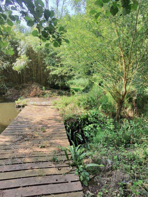 Montgobert Longère , 7 pièce(s) 112 m2, 2 Hectares avec étang et bois - photo 16