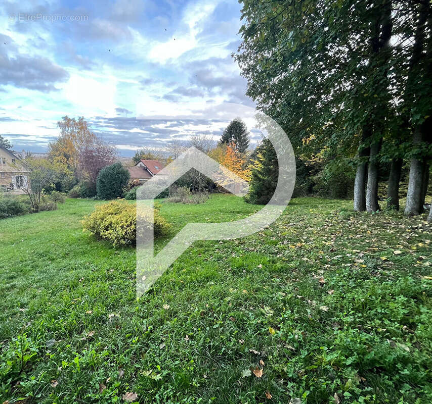 Terrain à VILLENNES-SUR-SEINE