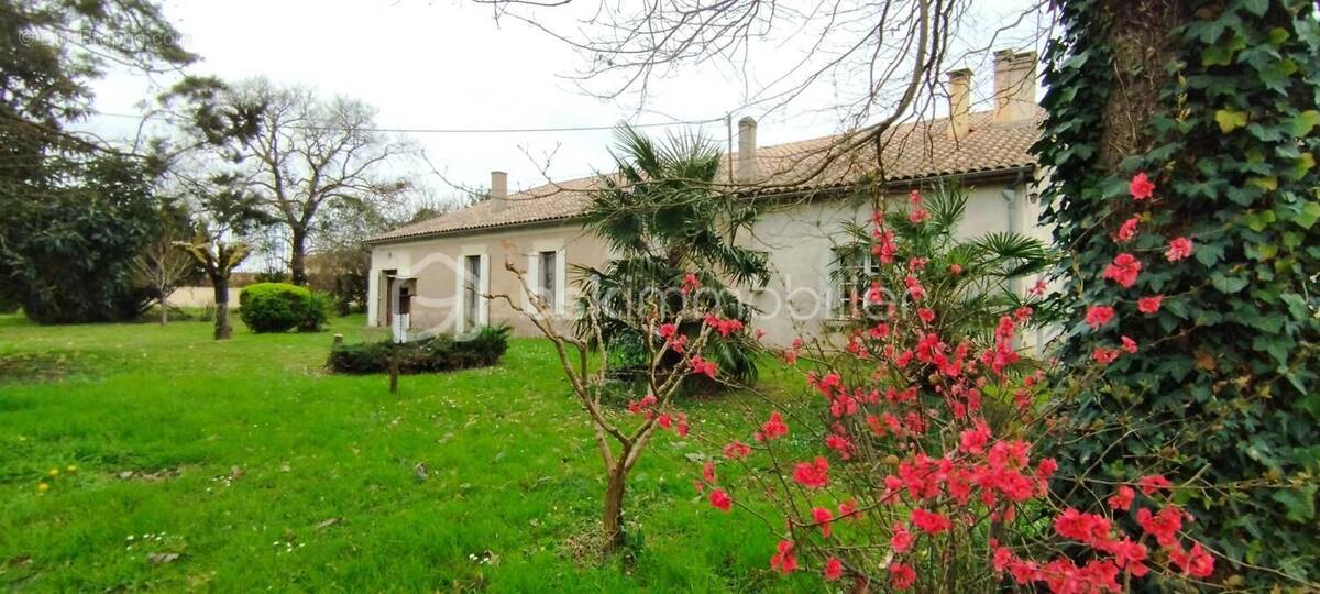 Maison à MARMANDE