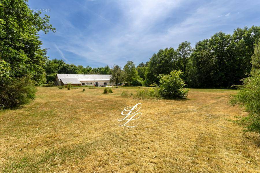 Maison à PARIGNE-L&#039;EVEQUE