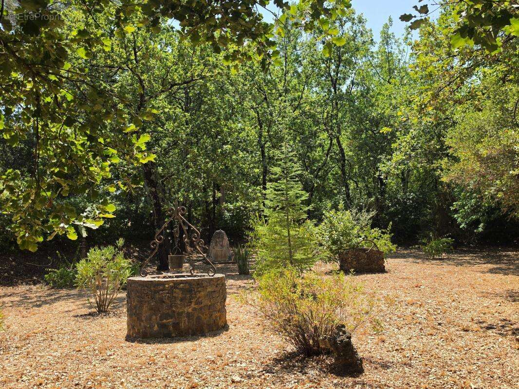 Maison provençale avec jardin et garages à vendre à brignoles - photo 9