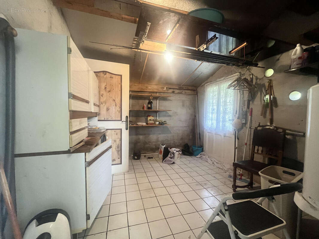 IMG7047 - Maison à SAINT-CYPRIEN