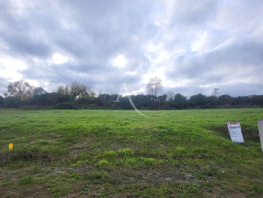 Terrain à CHALONNES-SUR-LOIRE