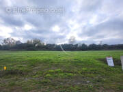 Terrain à CHALONNES-SUR-LOIRE