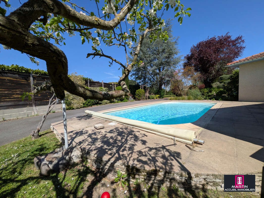 Maison à LA SALVETAT-SAINT-GILLES