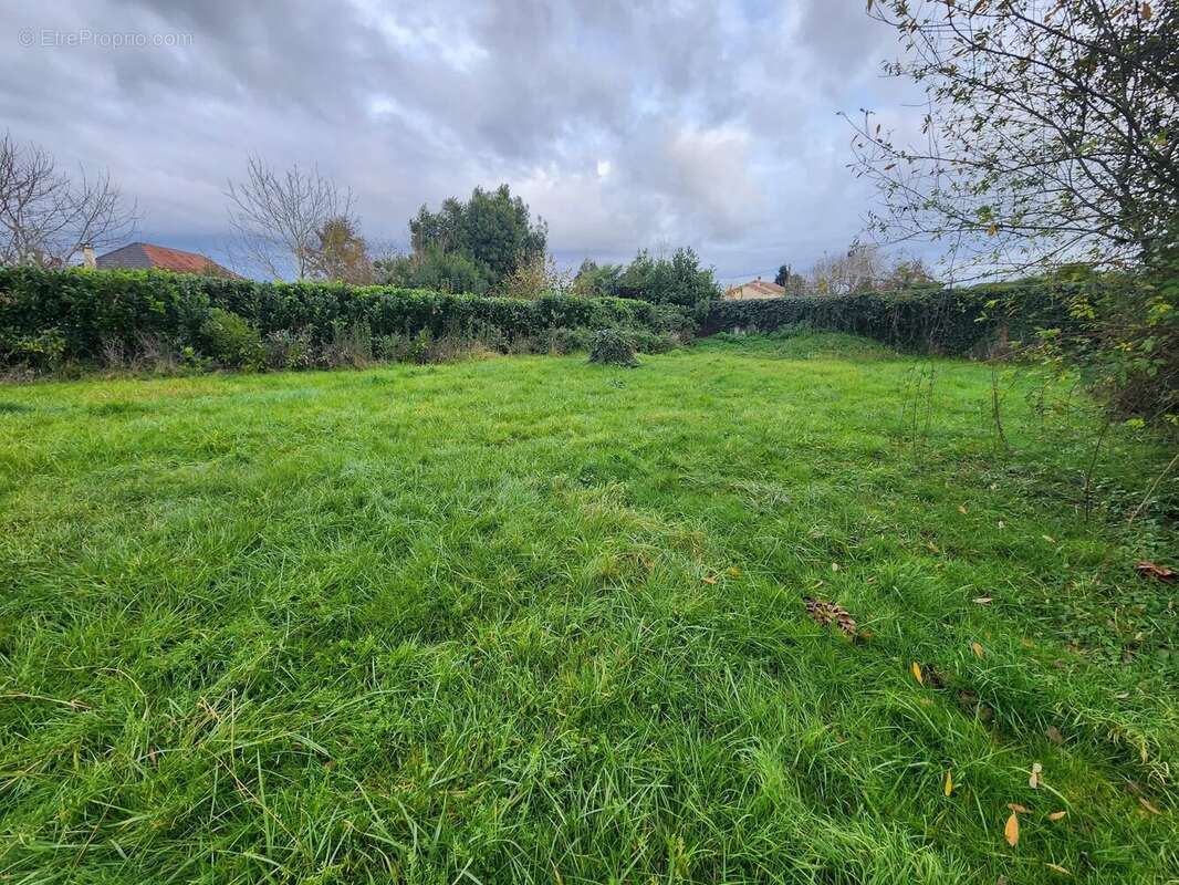 Terrain à BORDES