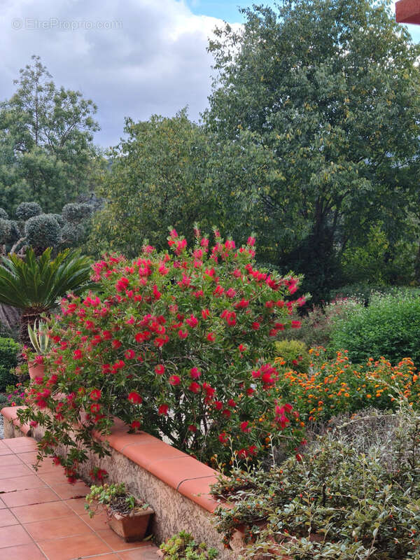 Maison à MAUREILLAS-LAS-ILLAS