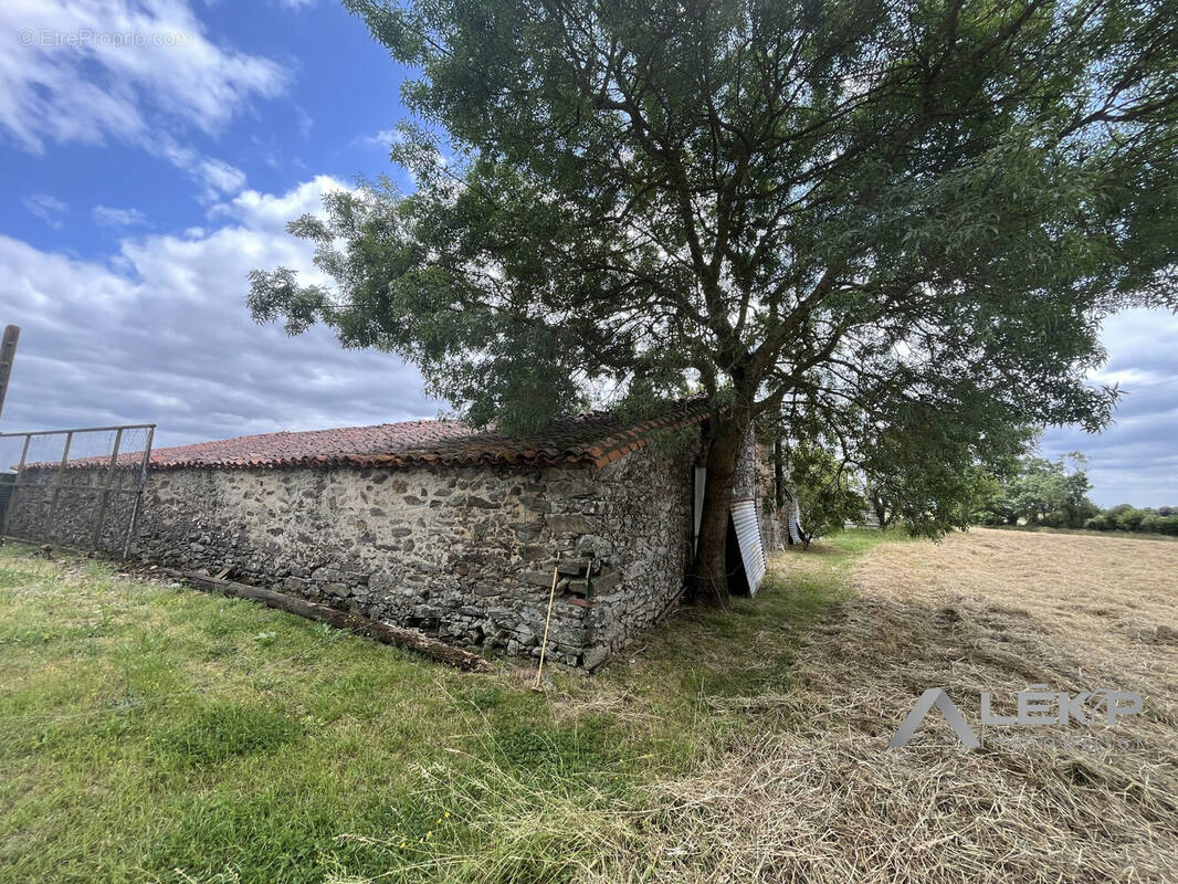 Maison 265 m² à Mouchamps  - photo 1