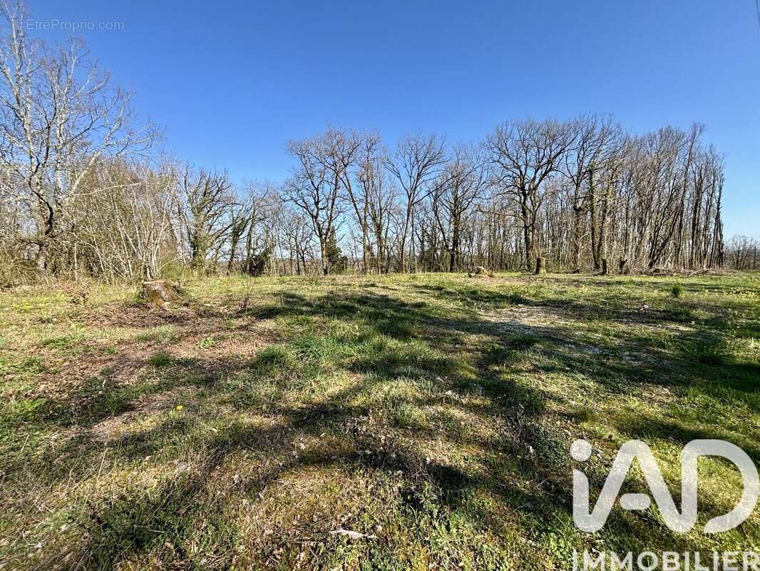 Terrain 7404 m² à Paulin  - photo 5