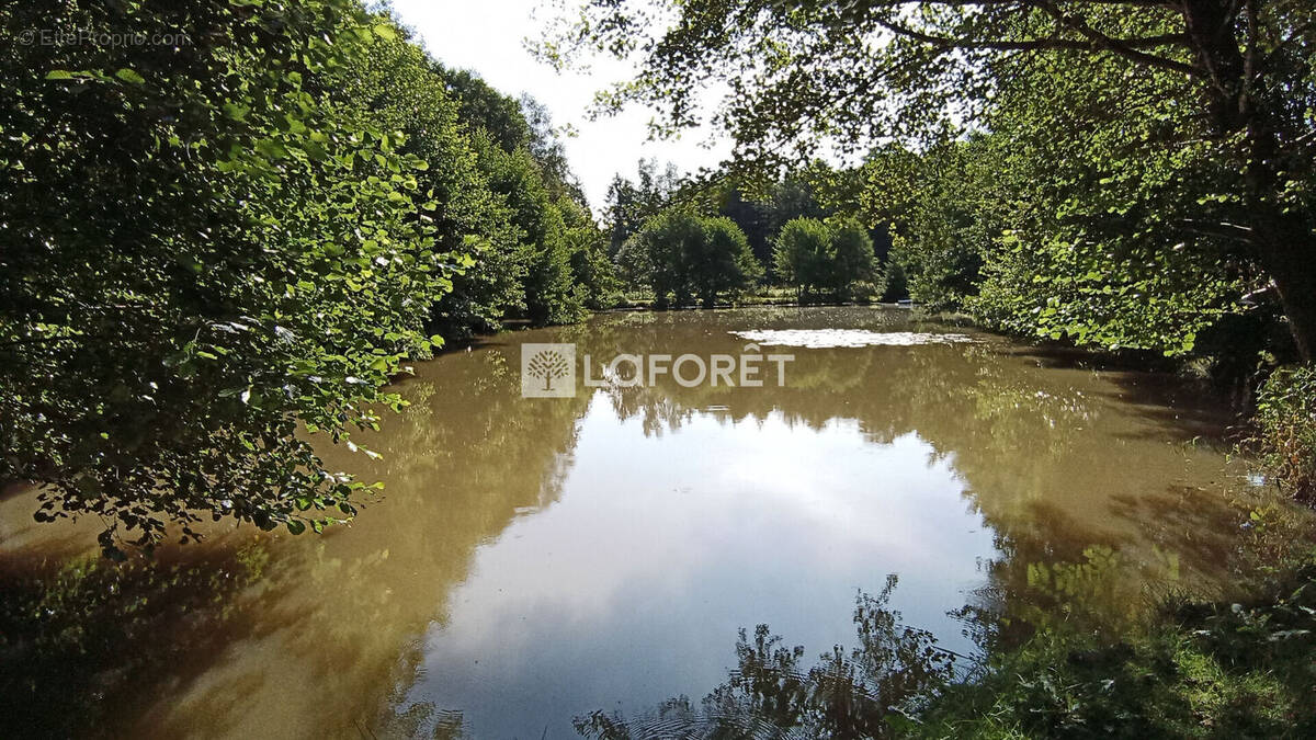 Terrain à HARTZVILLER