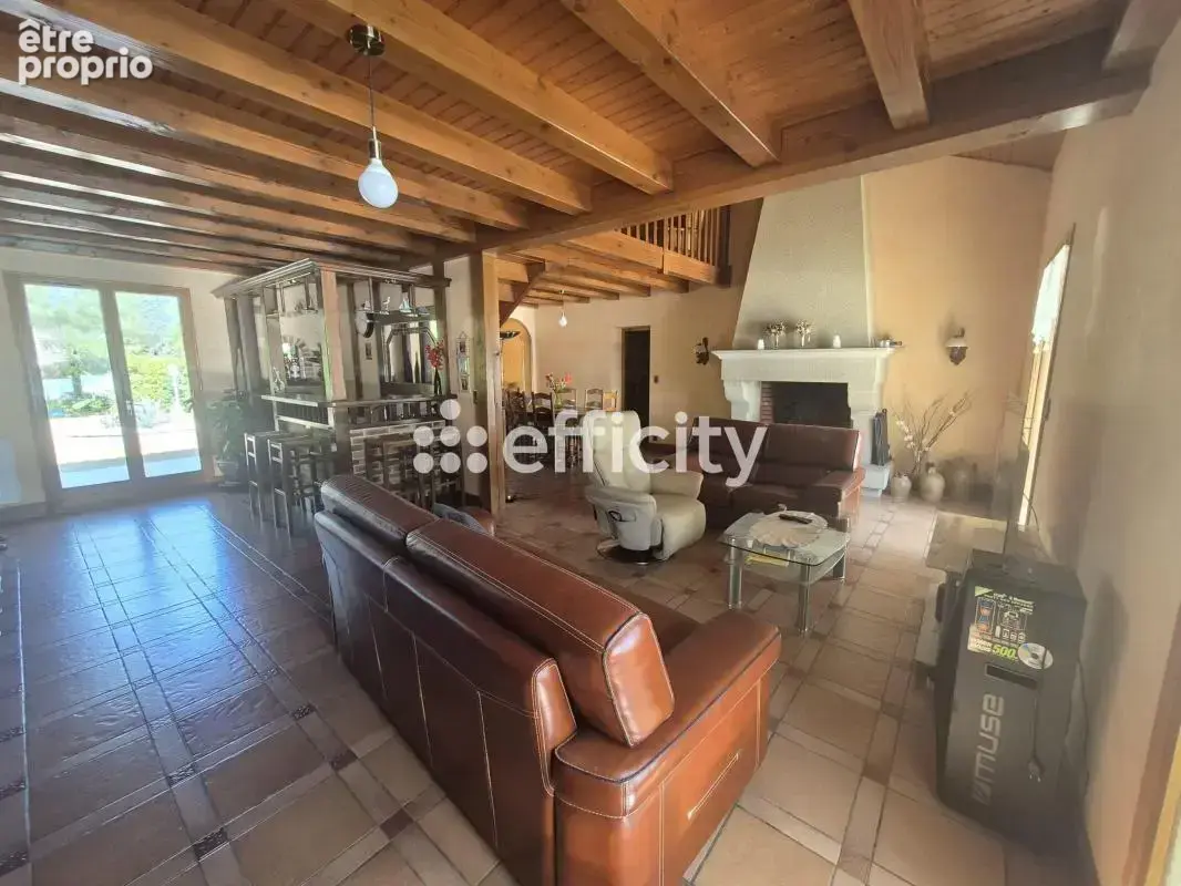Maison 8 pièces 205 m² à vendre à Saint-Brice-Sur-Vienne (87200) - photo 2