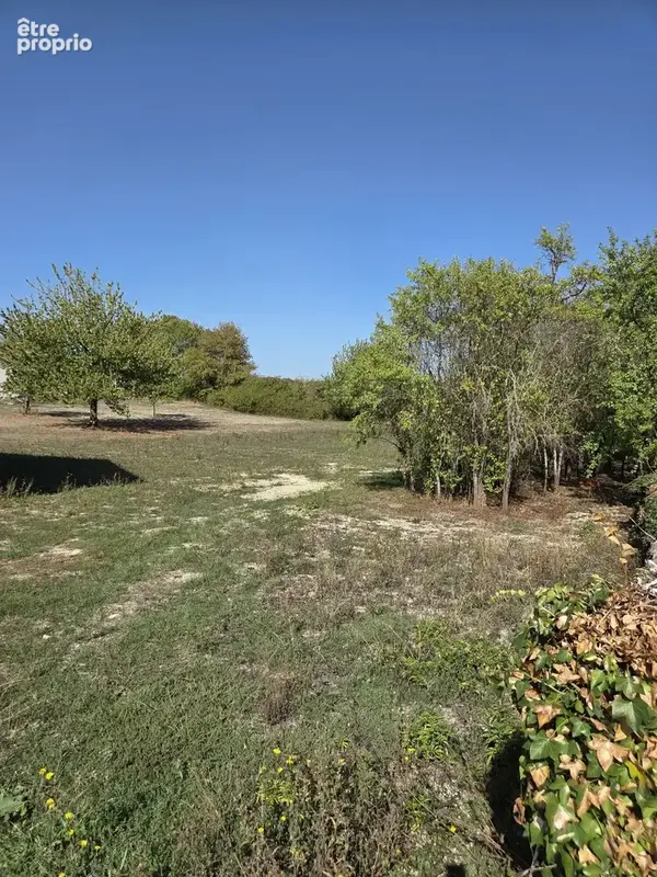Photo Terrain à Anais au prix de 85 000€