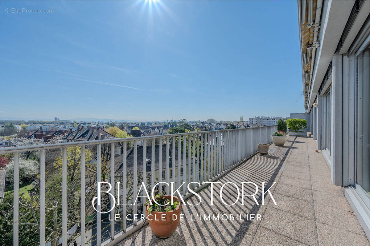 Commerce à STRASBOURG