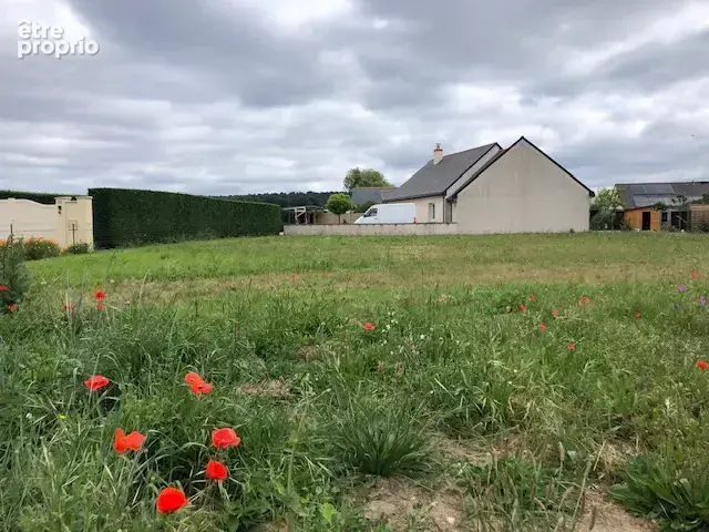 Terrain à MAZIERES-DE-TOURAINE