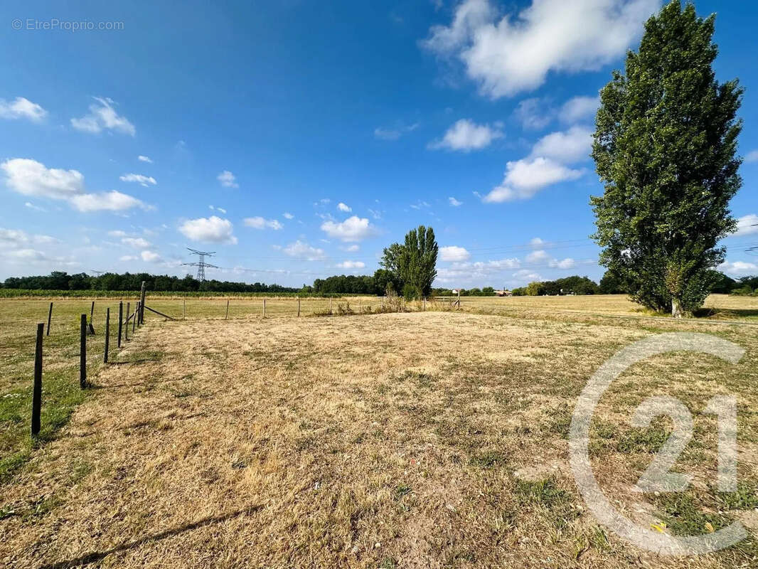 Maison 134 m² à Salignac  - photo 11