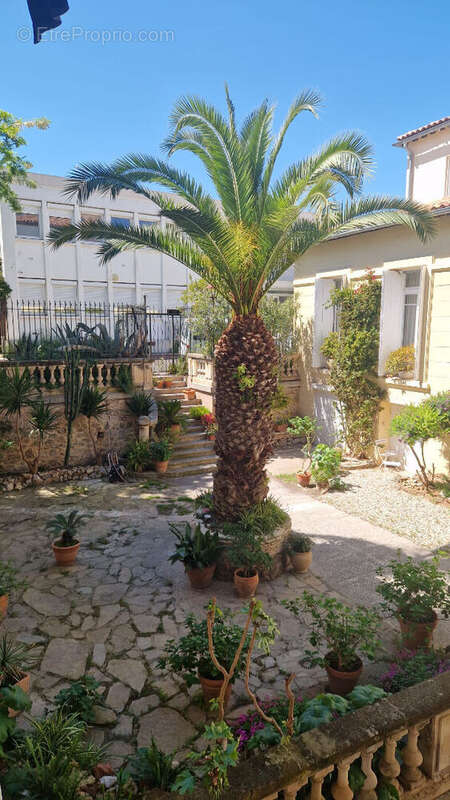 Appartement à SETE