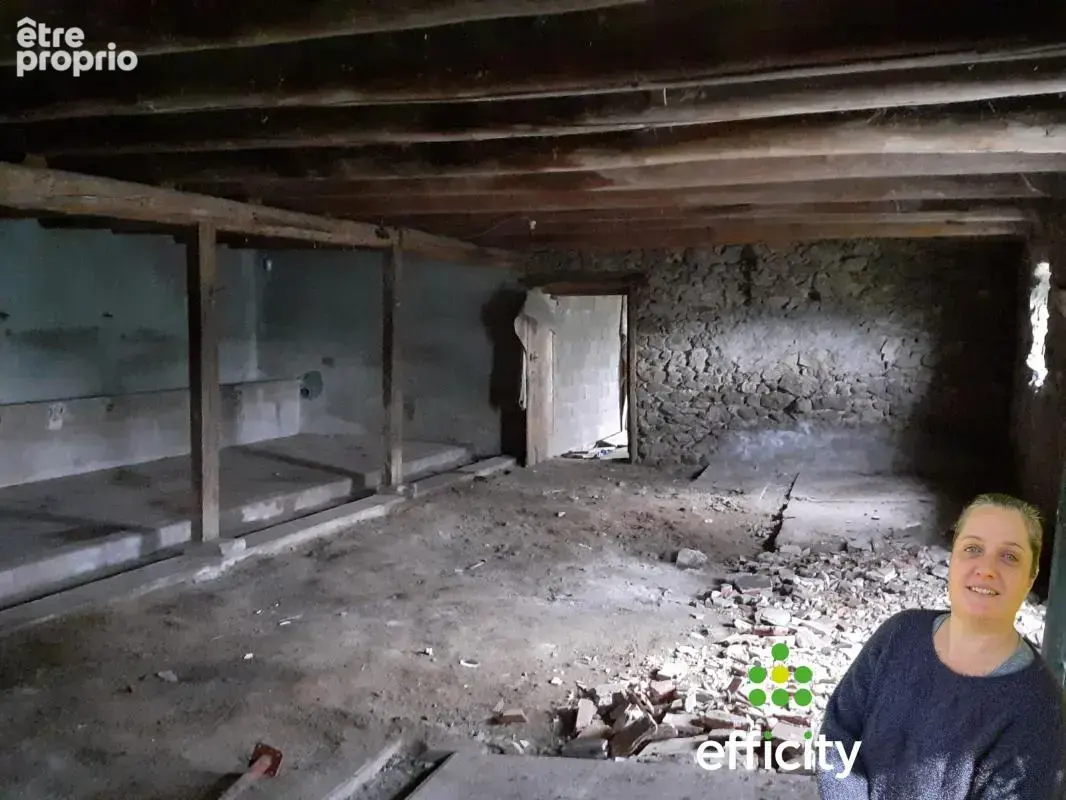 Maison 400 m² à Dore-L'eglise  - photo 14