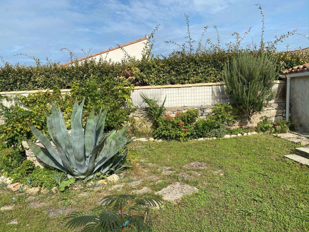 Maison à SAINT-CLEMENT-DES-BALEINES