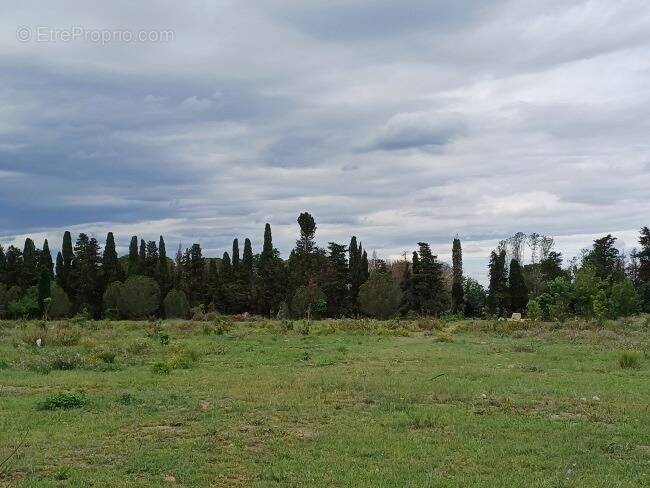 Terrain à PALAU-DEL-VIDRE