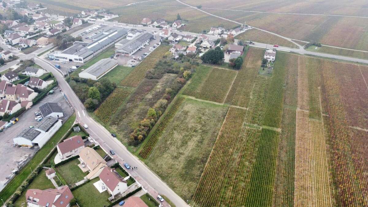 Terrain à NUITS-SAINT-GEORGES