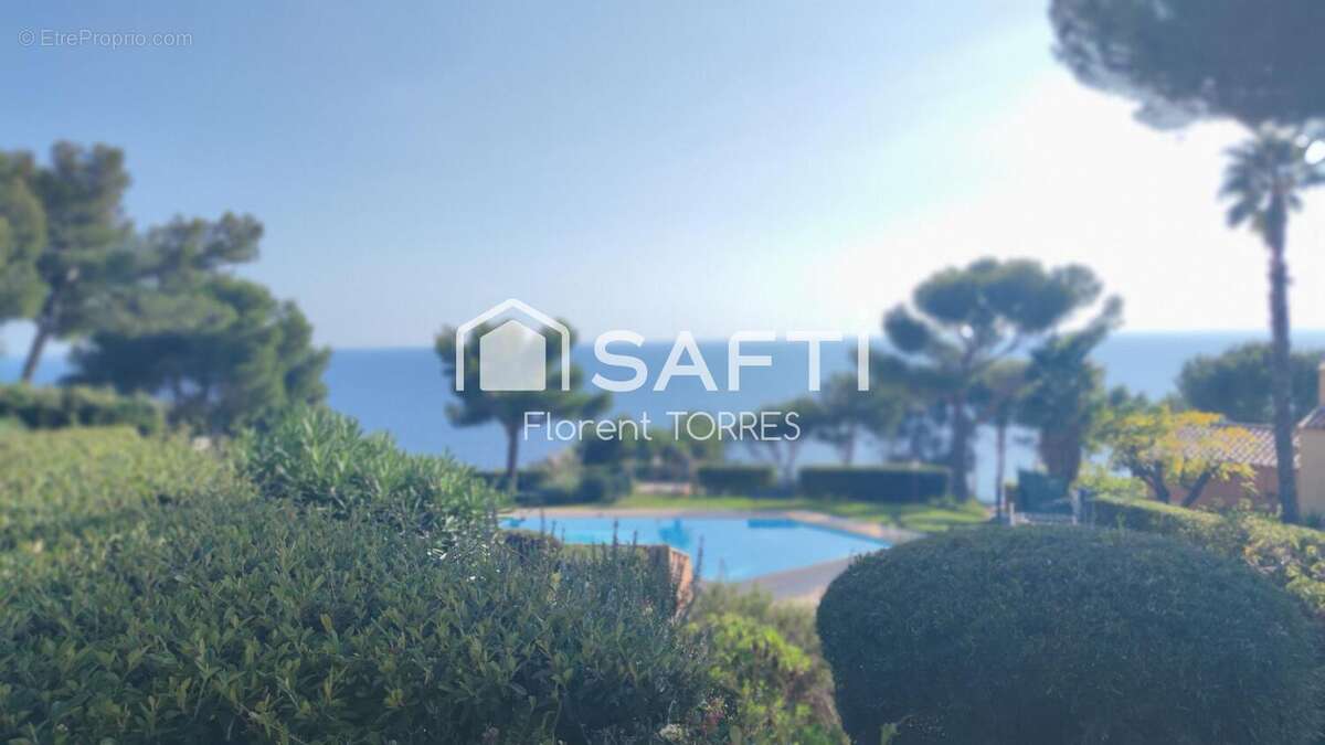 Photo 7 - Appartement à SAINT-MANDRIER-SUR-MER