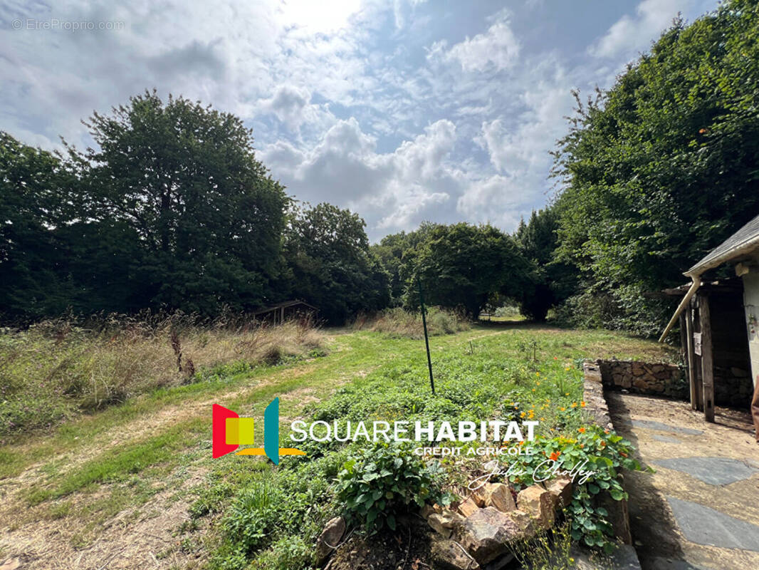 Terrain à BOUILLE-MENARD