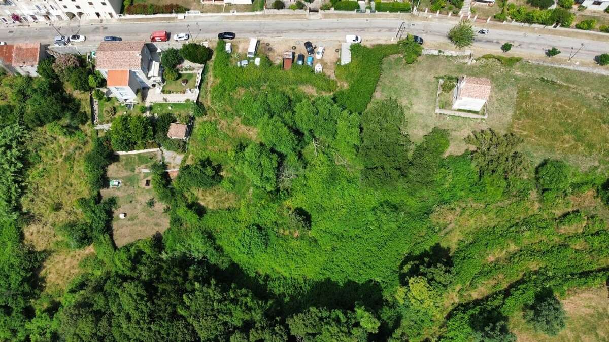 Terrain à SAINTE-LUCIE-DE-TALLANO