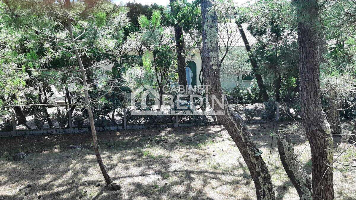 Maison à LEGE-CAP-FERRET