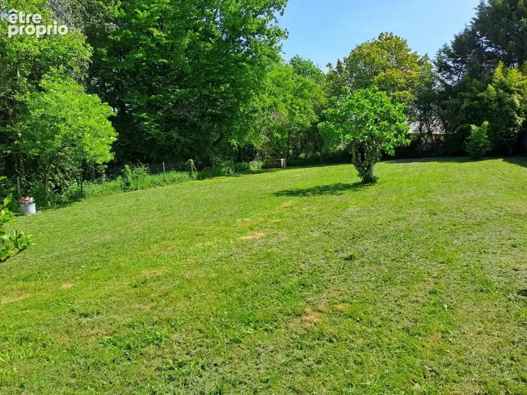 À vendre – maison de campagne avec plus de 5 000 m² de terrain, enclos pour animaux et bâtiment annexe - photo 20