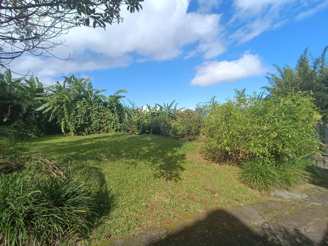 Terrain à PETITE-ILE