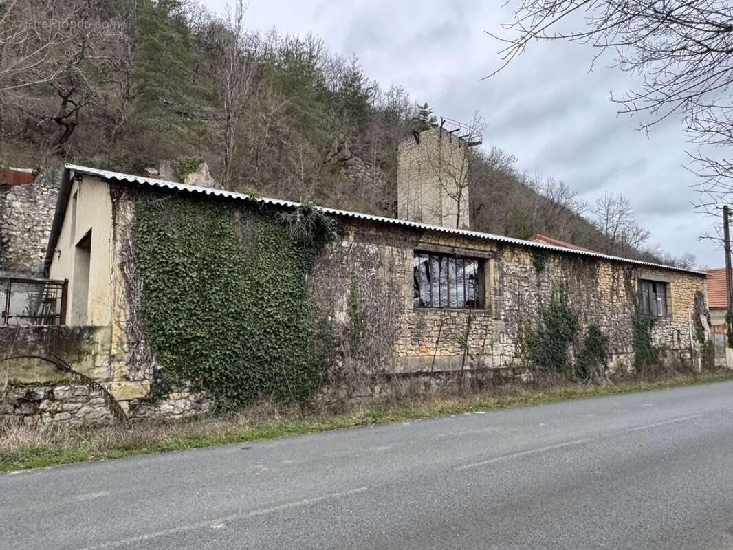 IMG1634 - Maison à SAINT-CYPRIEN