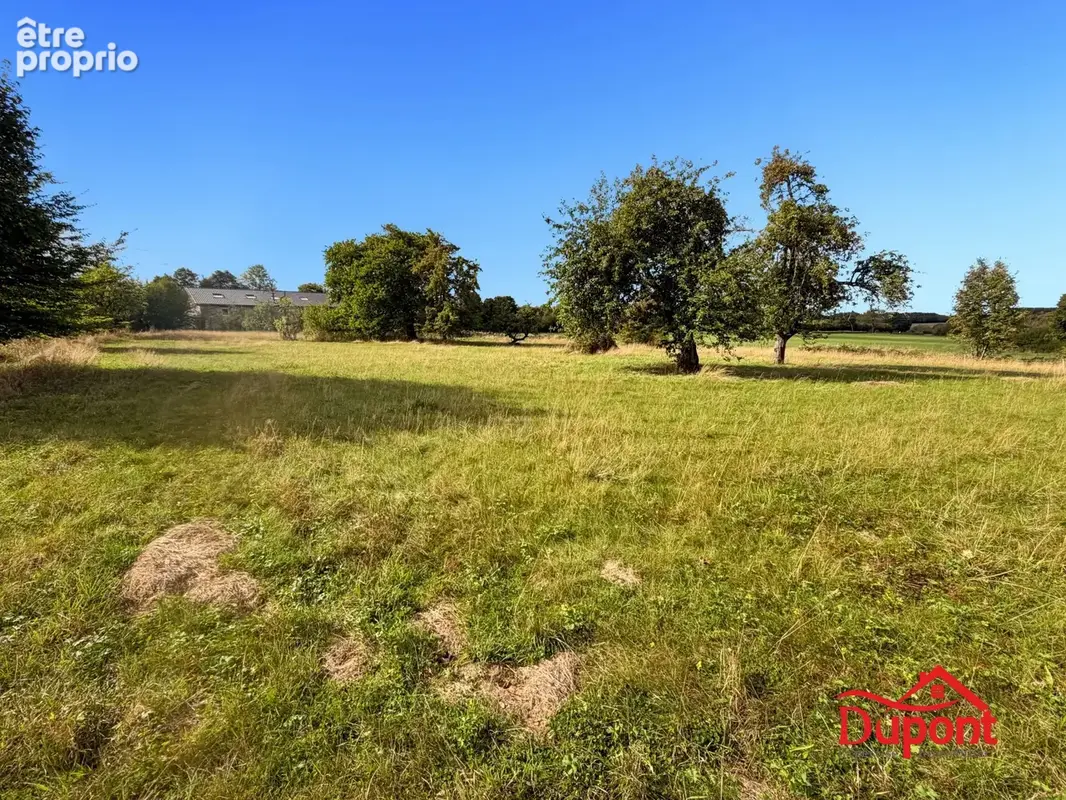 Photo Terrain à Taillette au prix de 70 000€