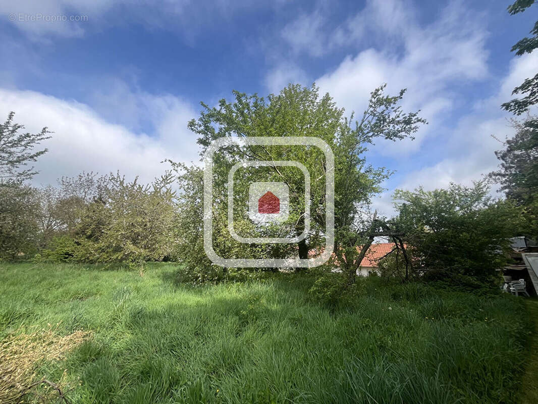 Maison à HAUSSIGNEMONT