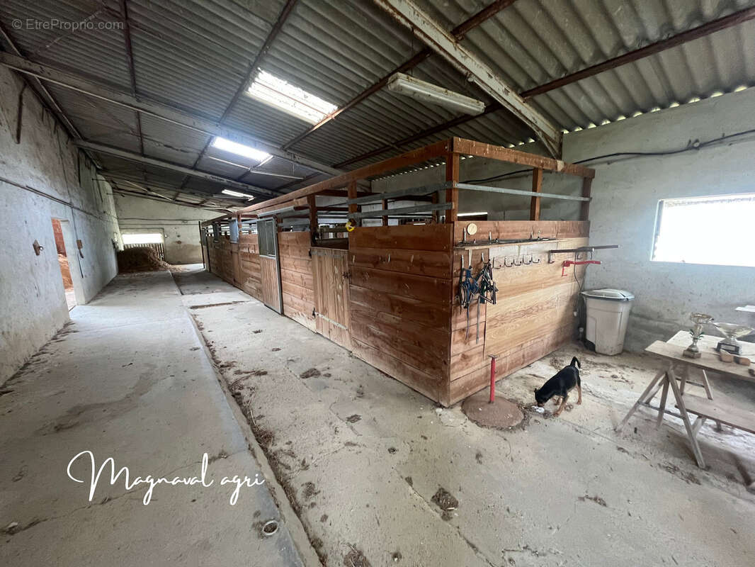Domaine équestre ou agricole de 30 hectares en Occitanie - photo 8