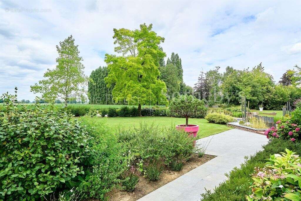 Maison à RADINGHEM-EN-WEPPES