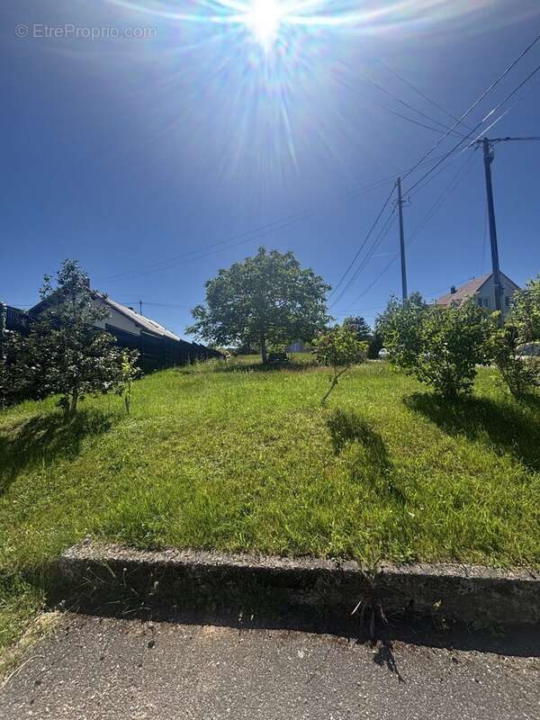 Terrain 352 m² à Lutzelhouse  - photo 4