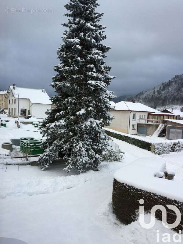 Photo 7 - Maison à FRESSE-SUR-MOSELLE