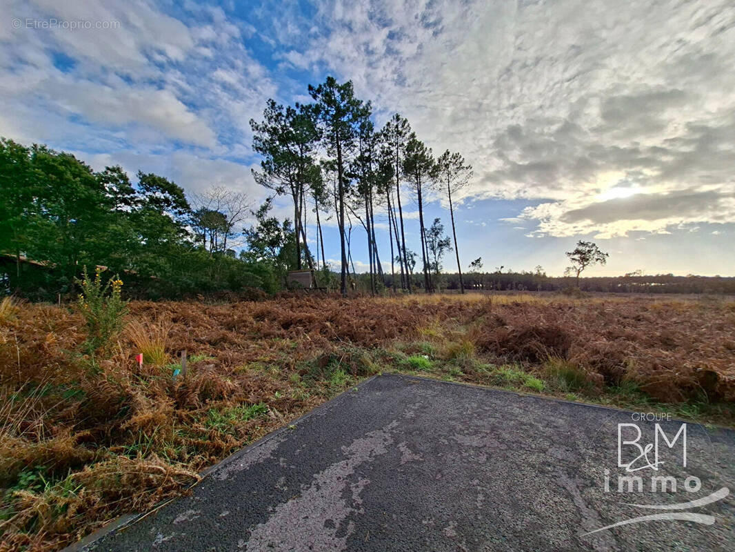 Terrain à MOLIETS-ET-MAA