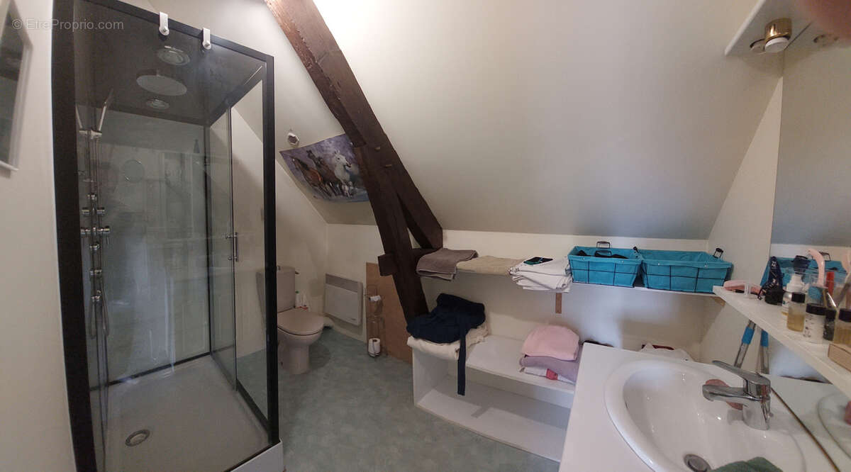 Maison 9 pièces 220m2 - Chateaubriant - photo 9