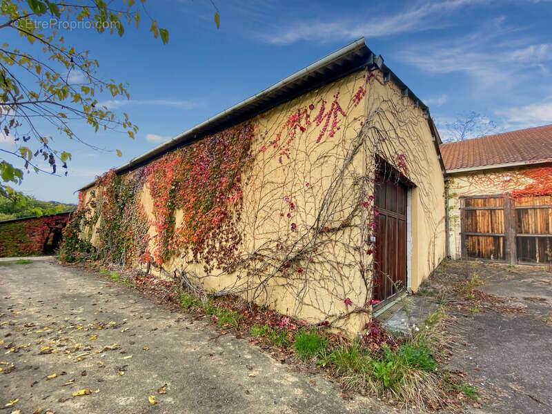 Dpt Gers (32), à vendre Proche de RISCLE château T6 de 327 m² habitables + 580 m² de dépendances attenantes sur 8157 m² de terra - photo 23