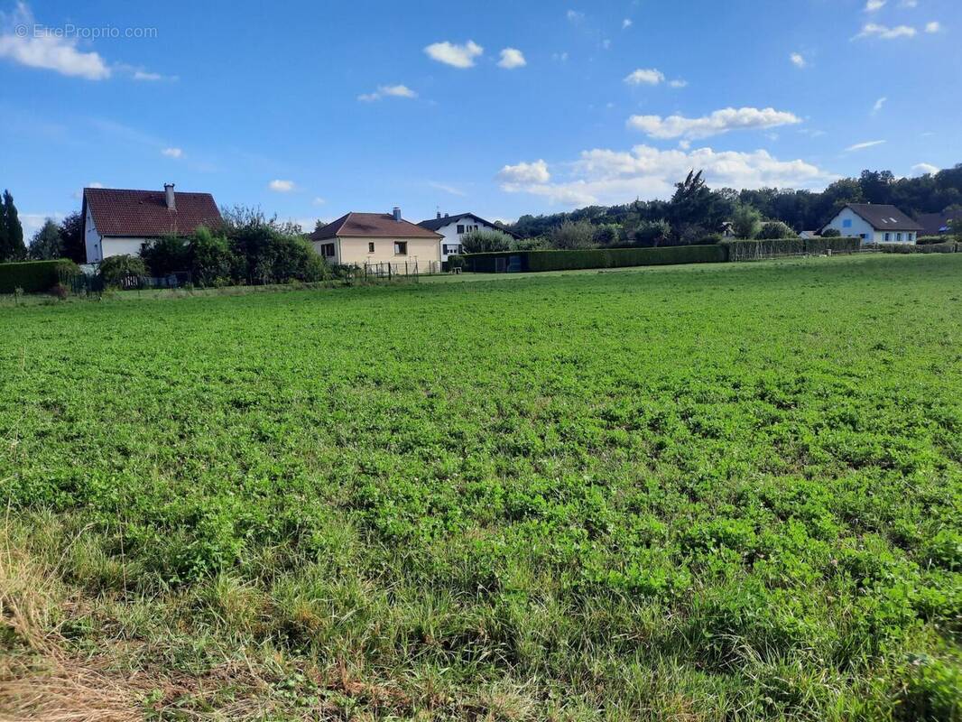 Terrain de 470 m² à bavilliers (territoire-de-belfort) - photo 2