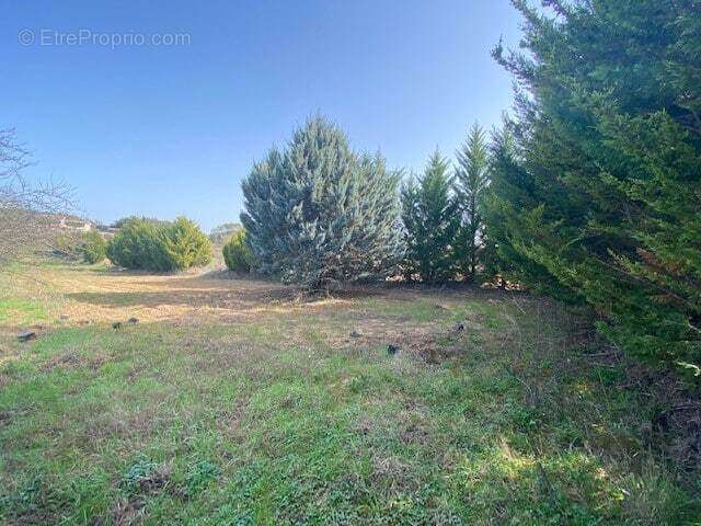 Terrain à LORGUES