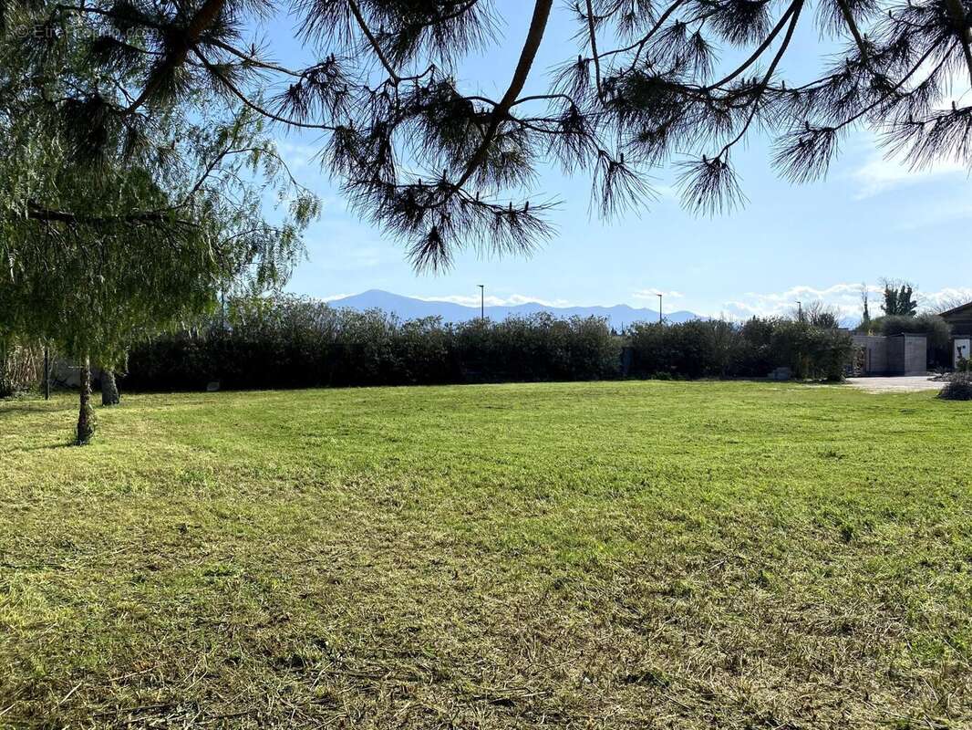 Photo 2 - Terrain à ELNE