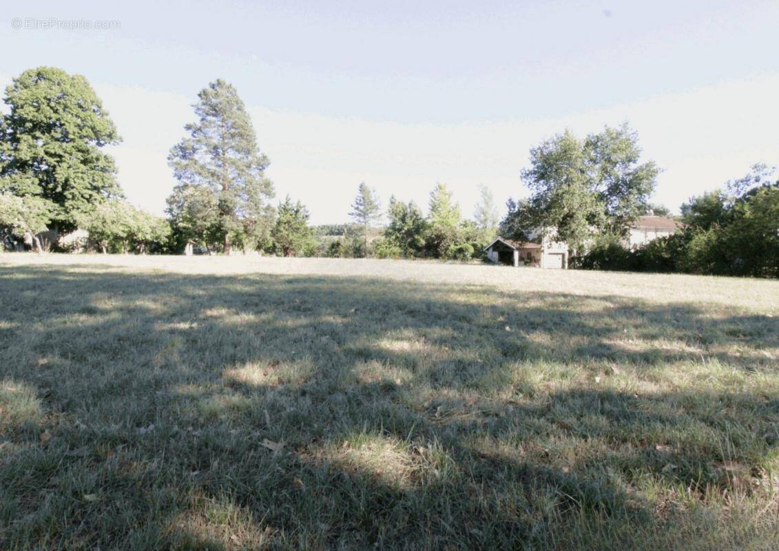 Terrain à BRIATEXTE