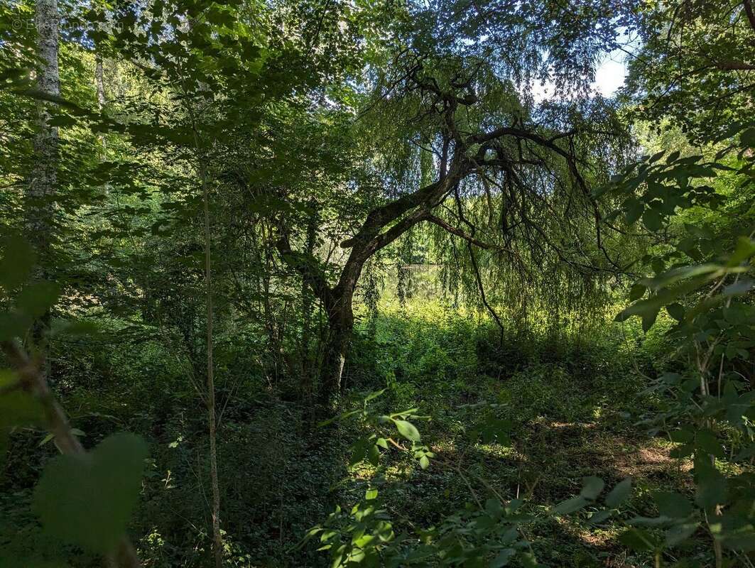 Manoir du XVIIe siècle sur 14500 m² de terrain - photo 18
